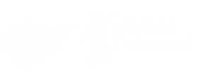 Logo van Nederland-Nieuws.nl